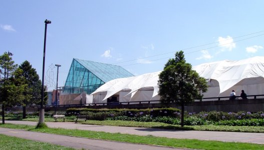 carpa.jpg