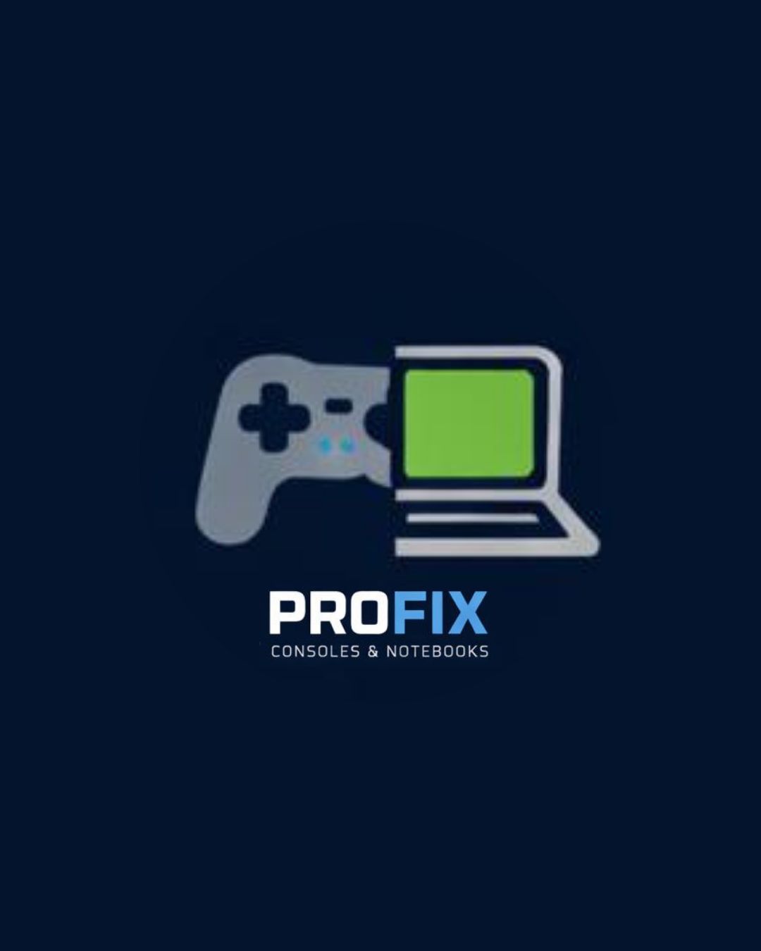 https://www.instagram.com/profix.assistencia